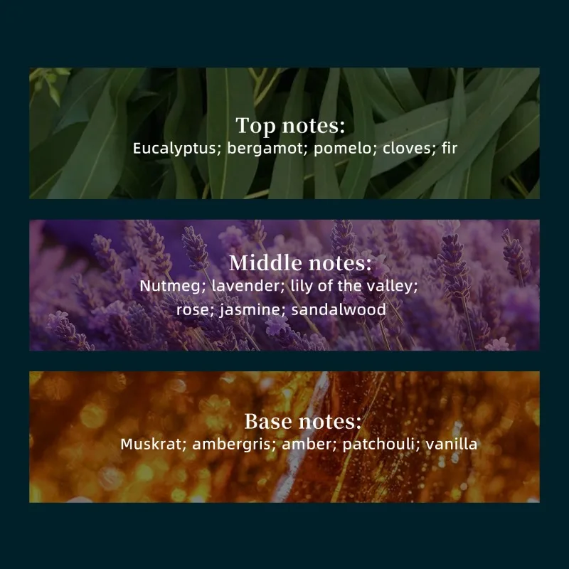 15ML Middle East Arab Perfume Men's Cologne Drip Stick Fragrance Essential Oil Lasting Oriental Tune Portable Perfumes hombre - Image 3